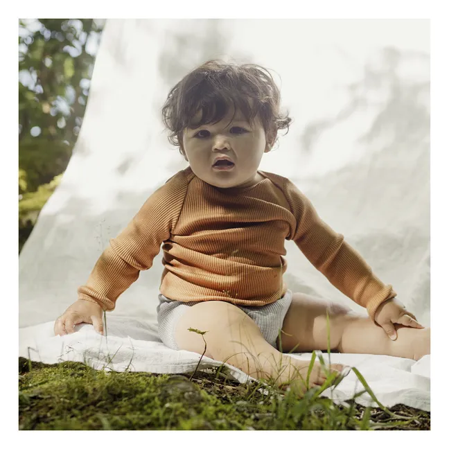 Bobbi Silk and Cotton High-waisted Briefs | Grey