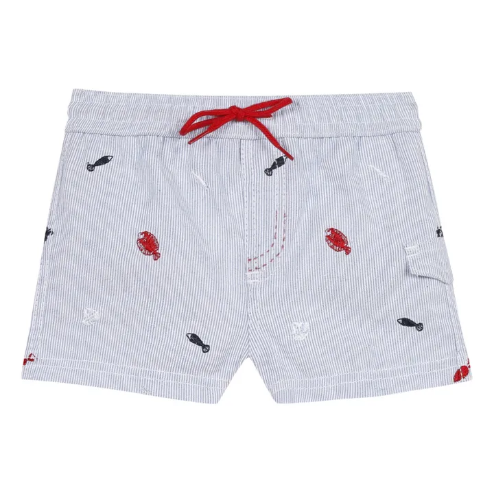 Striped Embroidered Swimming Shorts  | Blue- Product image n°0