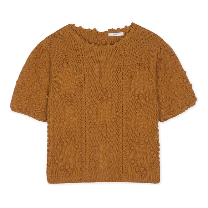 Boreas Cropped Embroidered Jumper  | Tabacco- Product image n°0