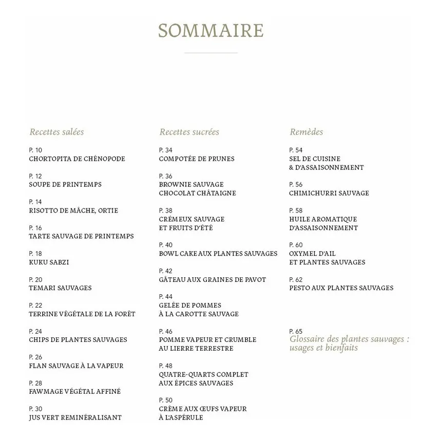Livre Wild Therapy, recettes et remèdes maison à base de plantes sauvages - FR- Image produit n°2