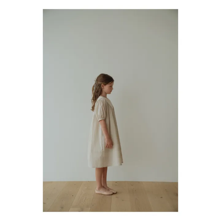 Danes Dress  | Beige- Product image n°3