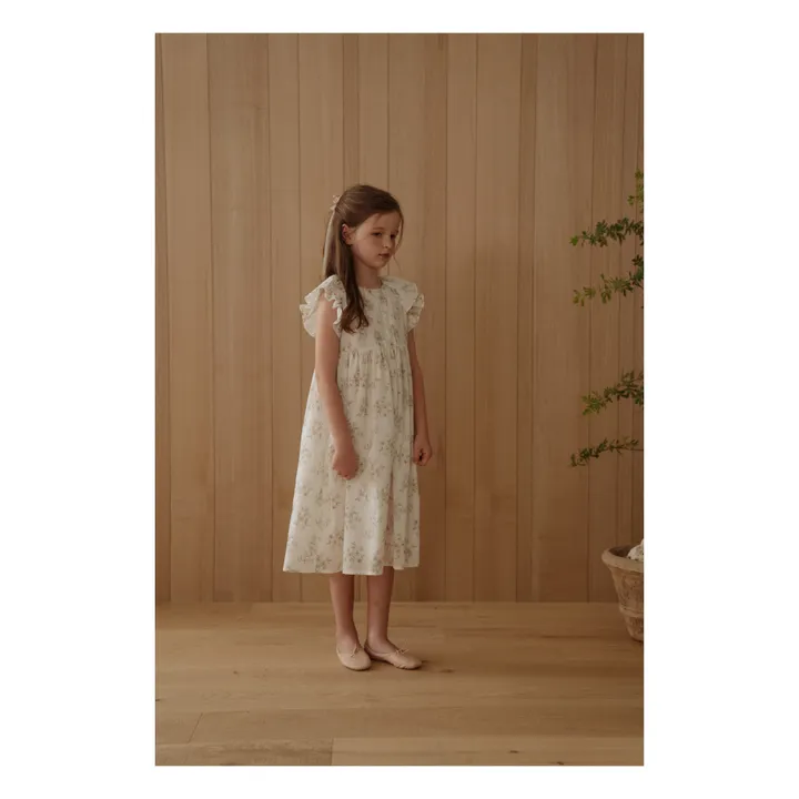 Kleid Lublanc | Seidenfarben- Produktbild Nr. 1