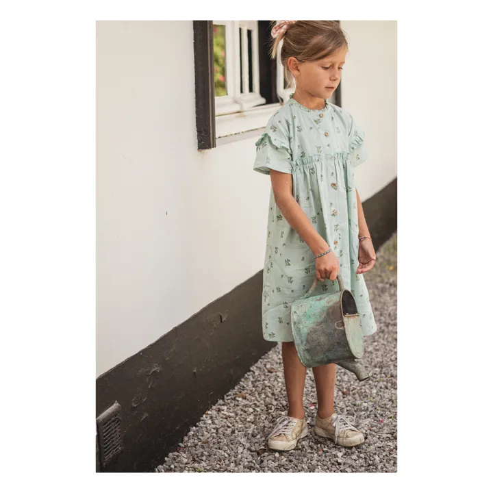 Zoé Linen Dress  | Green water- Product image n°1