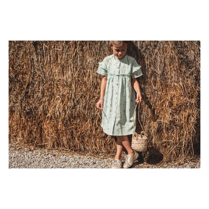 Zoé Linen Dress  | Green water- Product image n°4