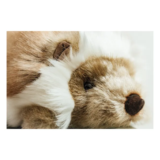 Plüschtier Mein Igel Alfred | Hellbraun