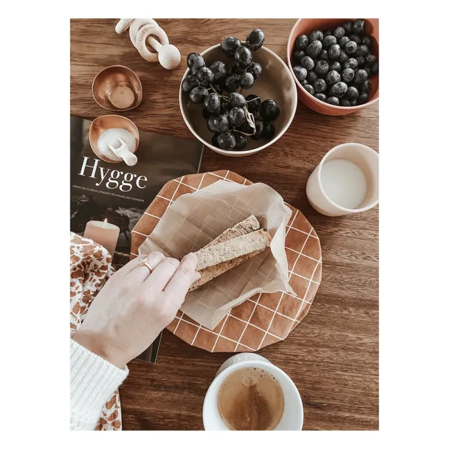 Couvre plat alimentaire Check | Terracotta