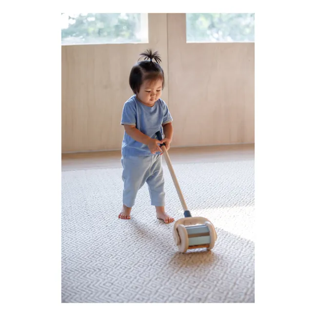 Push-along Roller Toy