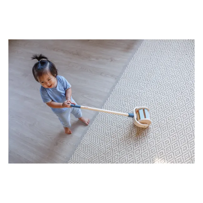 Push-along Roller Toy