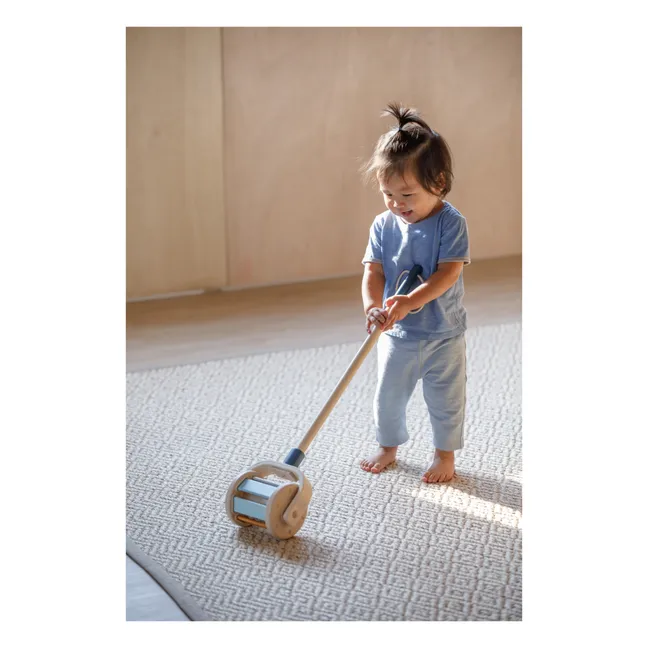Push-along Roller Toy