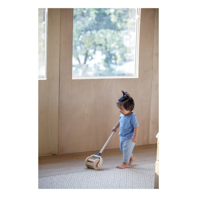 Push-along Roller Toy