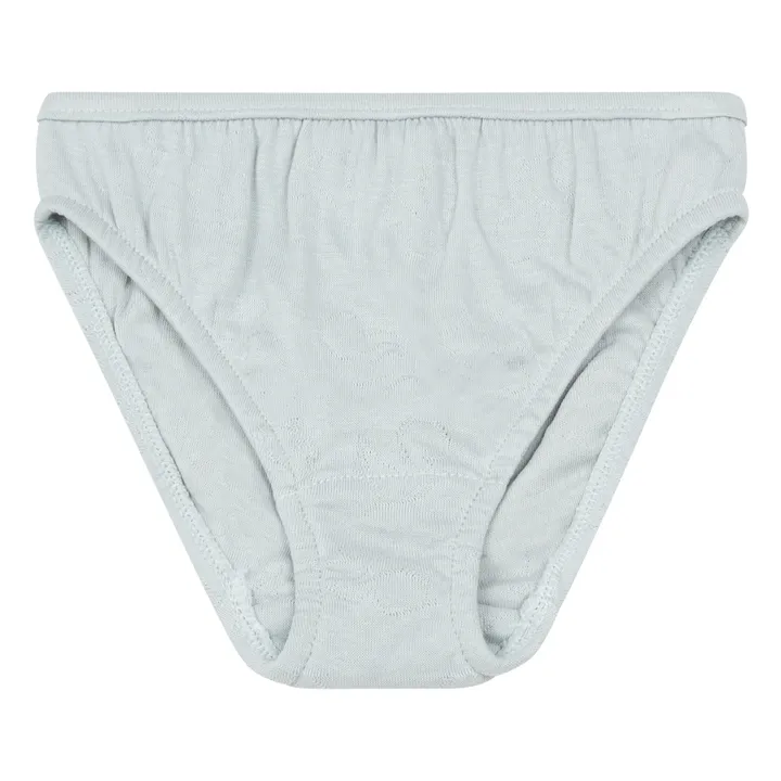 Perfect Organic Cotton Briefs  | Light Blue- Product image n°0