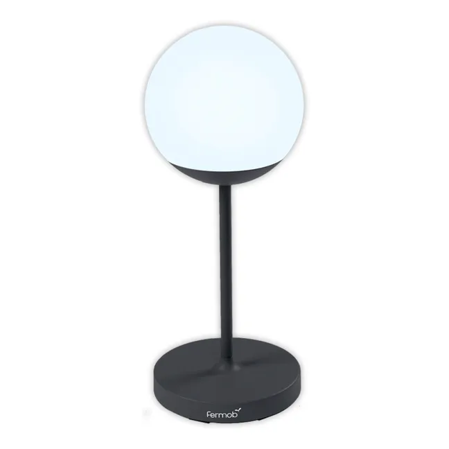 Moon Outdoor Floor Lamp | Carbon