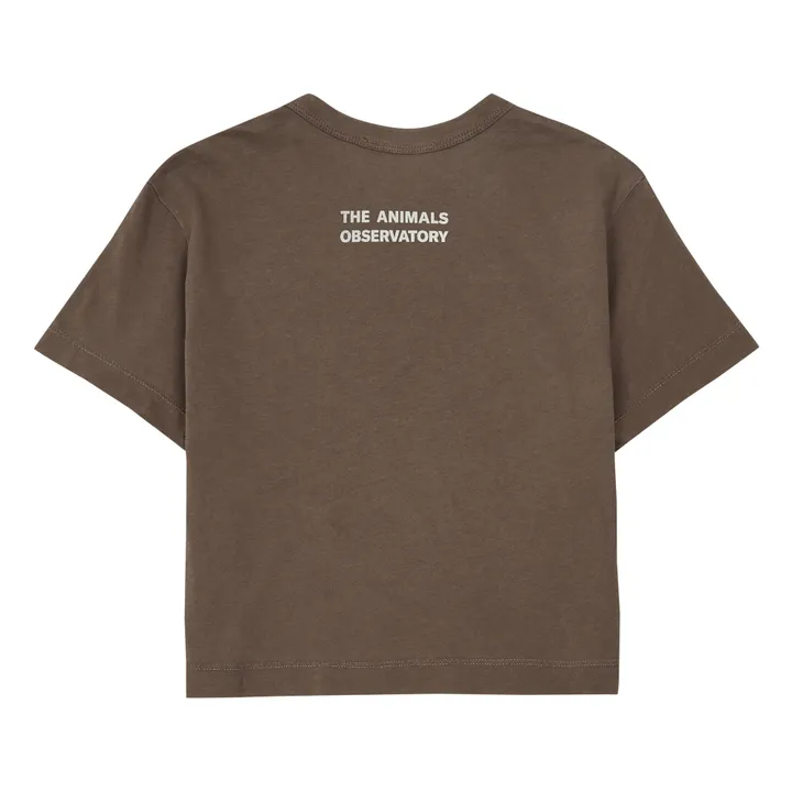 Rooster Athens T-shirt  | Brown- Product image n°4