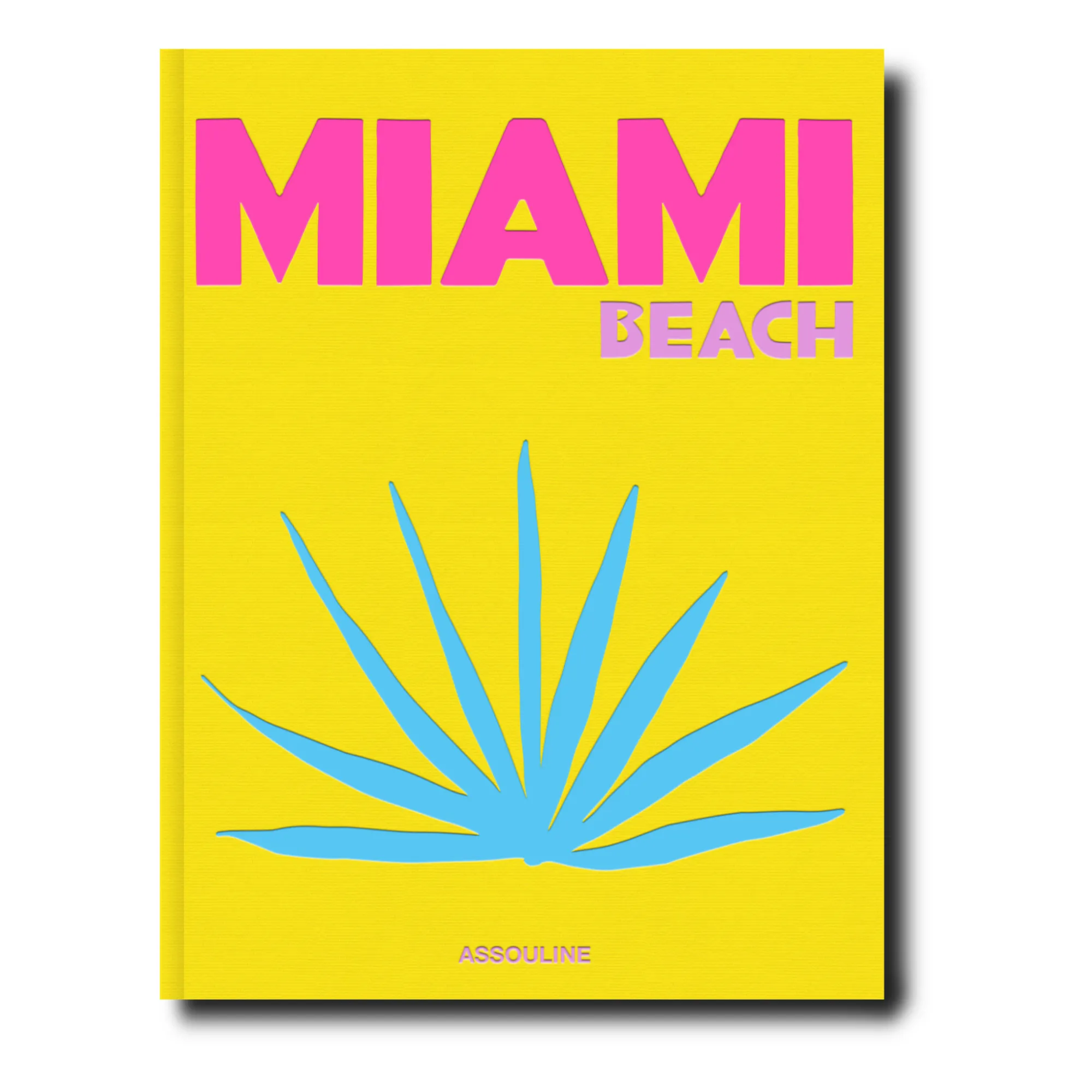 Assouline Multicoloured Miami Beach