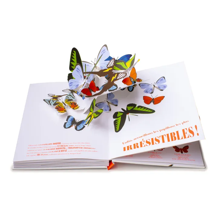 Libro Butterfly Illusions - B. Duisit & J. Brouant- Immagine del prodotto n°1