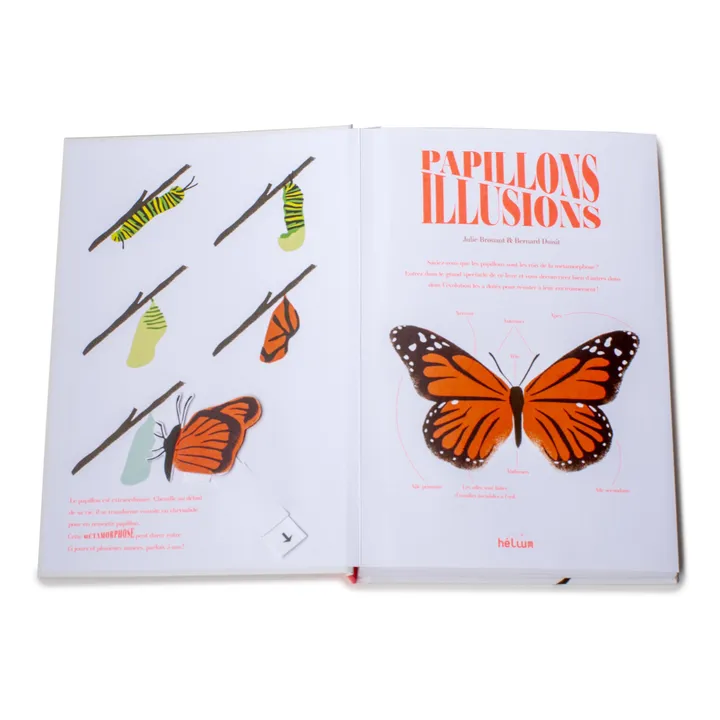Libro Butterfly Illusions - B. Duisit & J. Brouant- Immagine del prodotto n°2