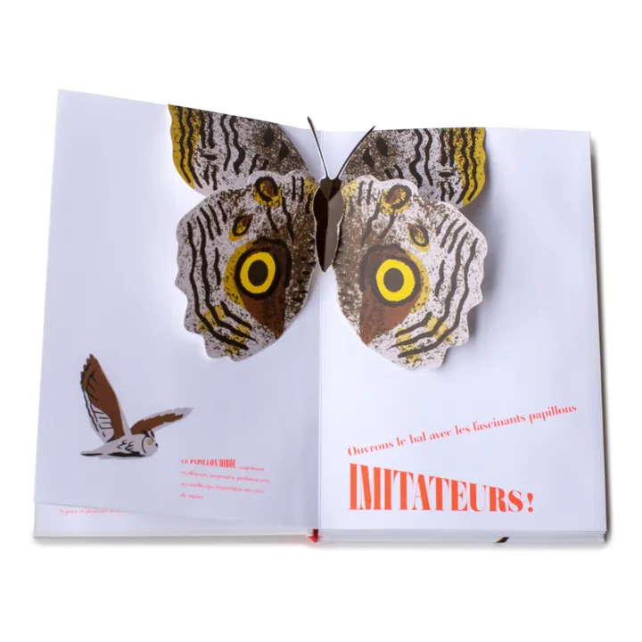 Libro Butterfly Illusions - B. Duisit & J. Brouant- Immagine del prodotto n°3
