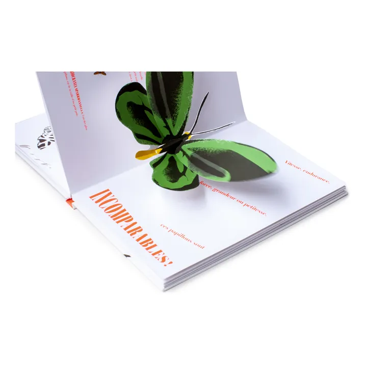 Libro Butterfly Illusions - B. Duisit & J. Brouant- Immagine del prodotto n°4