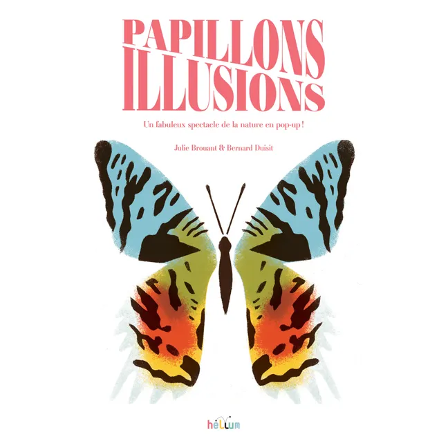 Livre Papillons Illusions - B. Duisit & J. Brouant