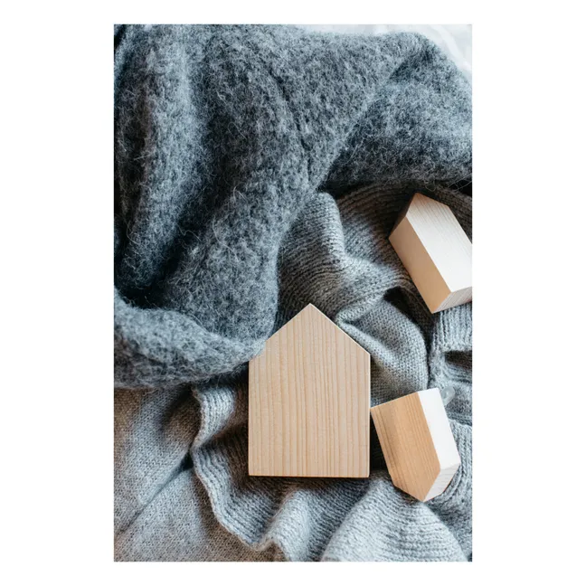 Cedar Wood Anti-moth Houses