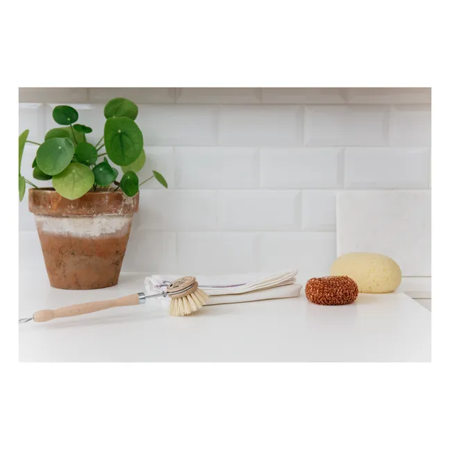 Natürliche Spülbürste