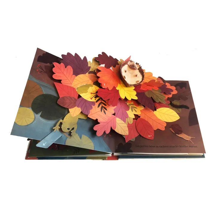 ‘Couleurs de l’automne’ Book - Janet Lawler- Product image n°2