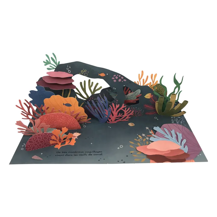 ‘Trésors de l’océan’ Book - Janet Lawler- Product image n°4