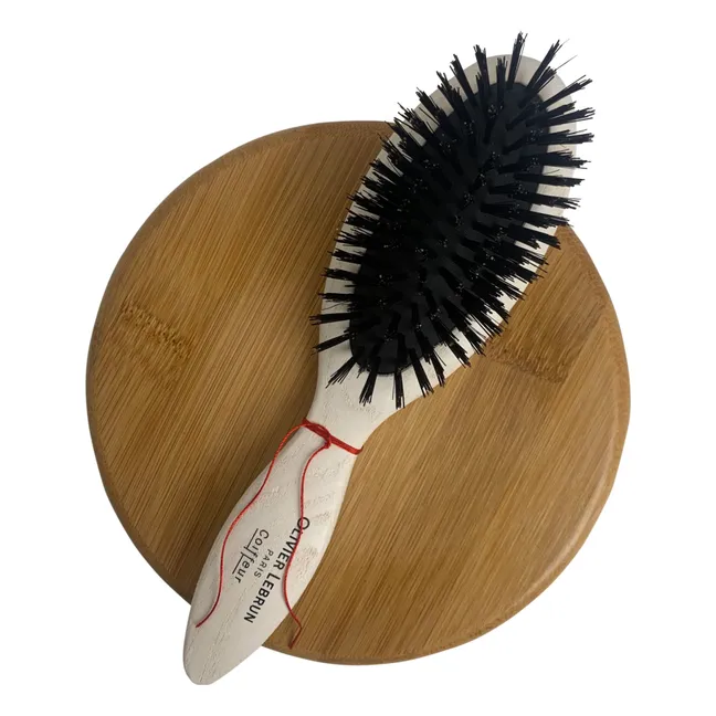 Brosse unique à transporter  | Blanc