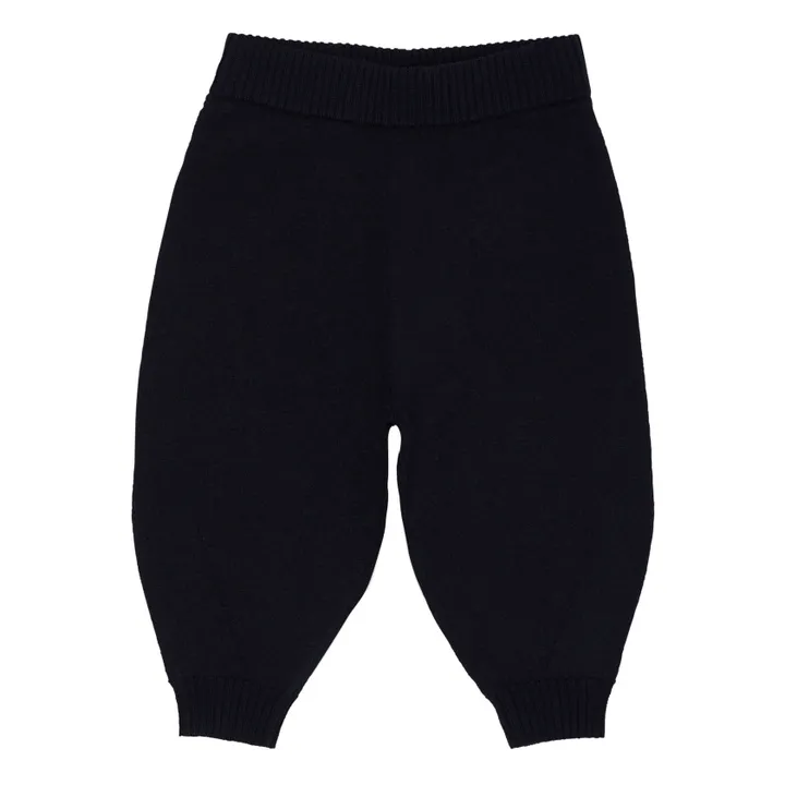Felted Wool Trousers | Navy blue- Product image n°0