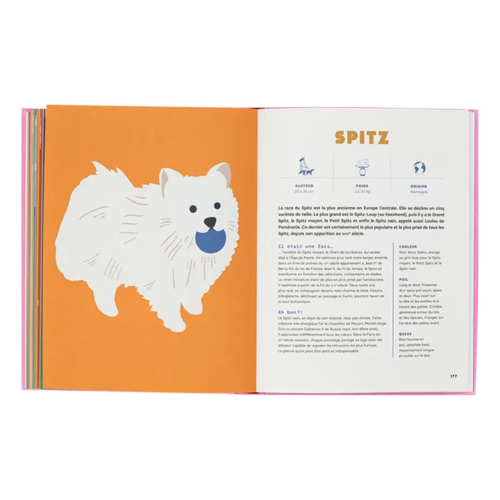 Buch Hunde - E. Chazerand & N. Wilkinson- Produktbild Nr. 4