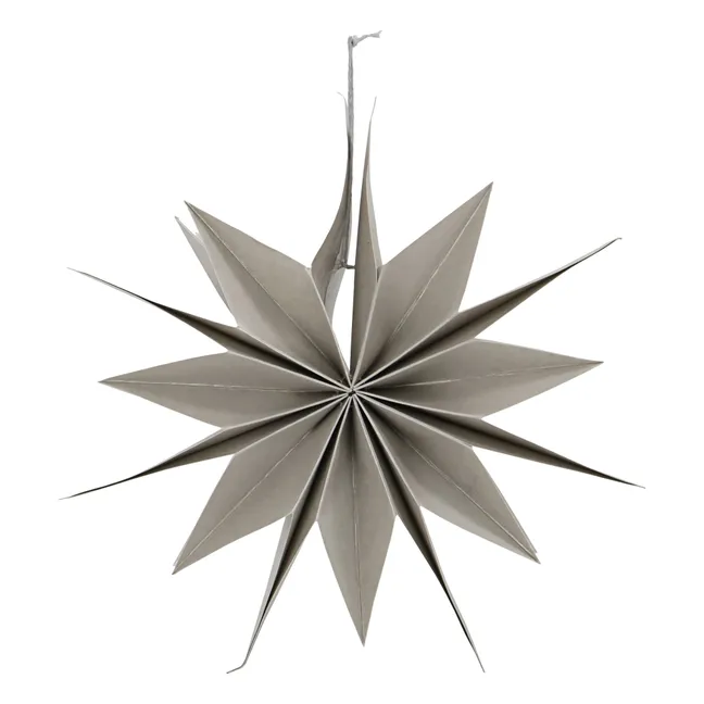 Décoration de Noël étoile en papier | Argenté