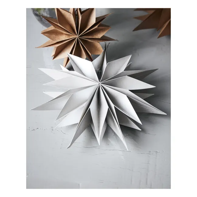 Adorno navideño Estrella de papel | Plateado