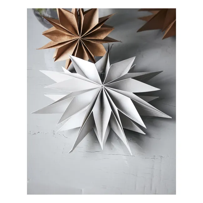 Décoration de Noël étoile en papier | Argenté