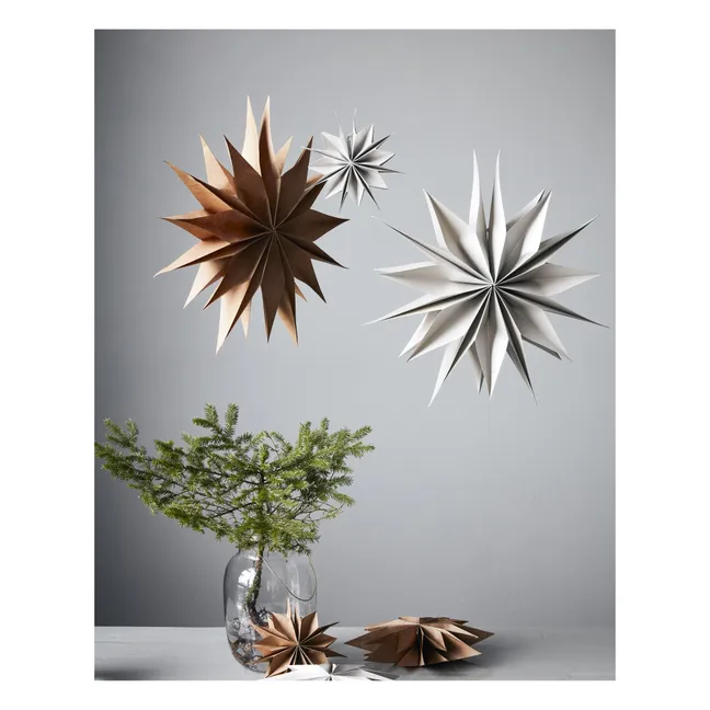 Décoration de Noël étoile en papier | Argenté