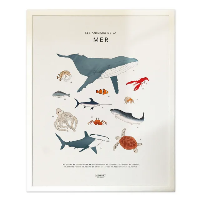 Sea Creatures Poster
