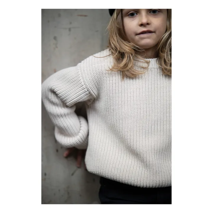 Pullover aus Bio-Baumwolle Brett | Seidenfarben- Produktbild Nr. 3
