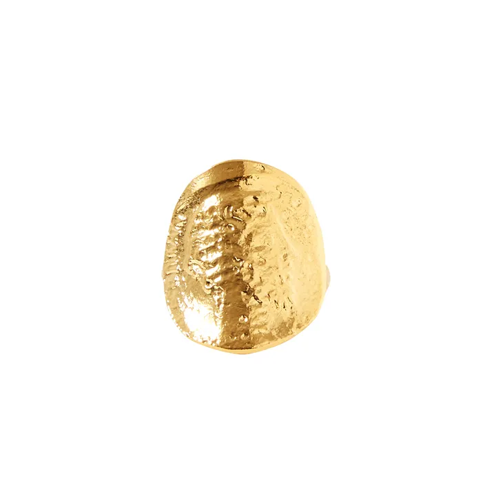 Ring Xanadu | Gold- Produktbild Nr. 0