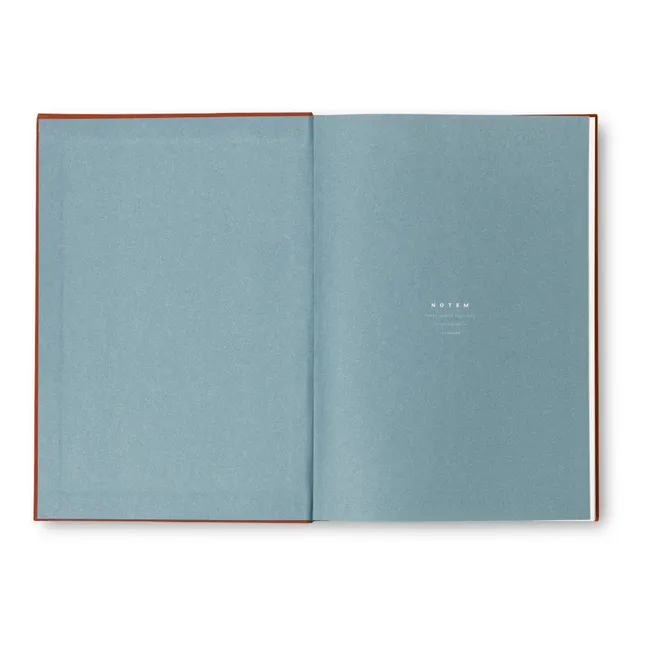Notebook a righe Béa | Terracotta