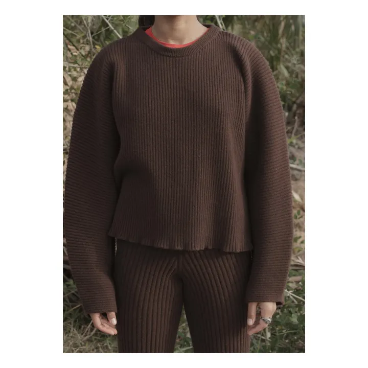 Weicher Sweatshirt aus Merinowolle | Braun- Produktbild Nr. 1