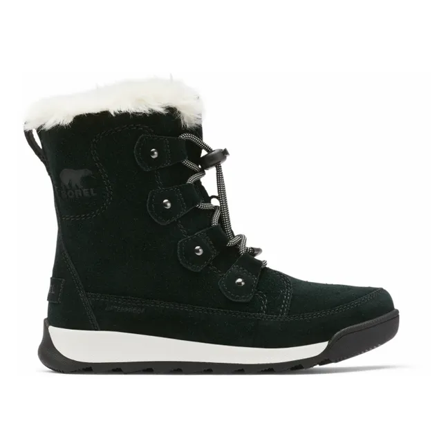 Whitney Suede Fur-Lined Boots | Black