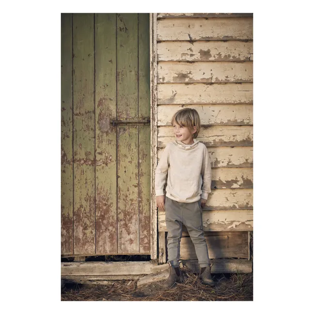 Botas Chelsea Nubuck | Marrón