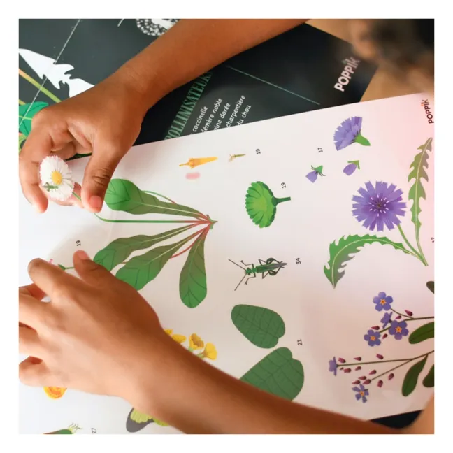 Póster con pegatinas Botánica