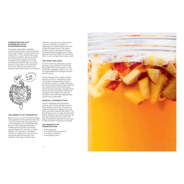 Kombucha, Kefir & Natural Sodas - EN- Image produit n°1