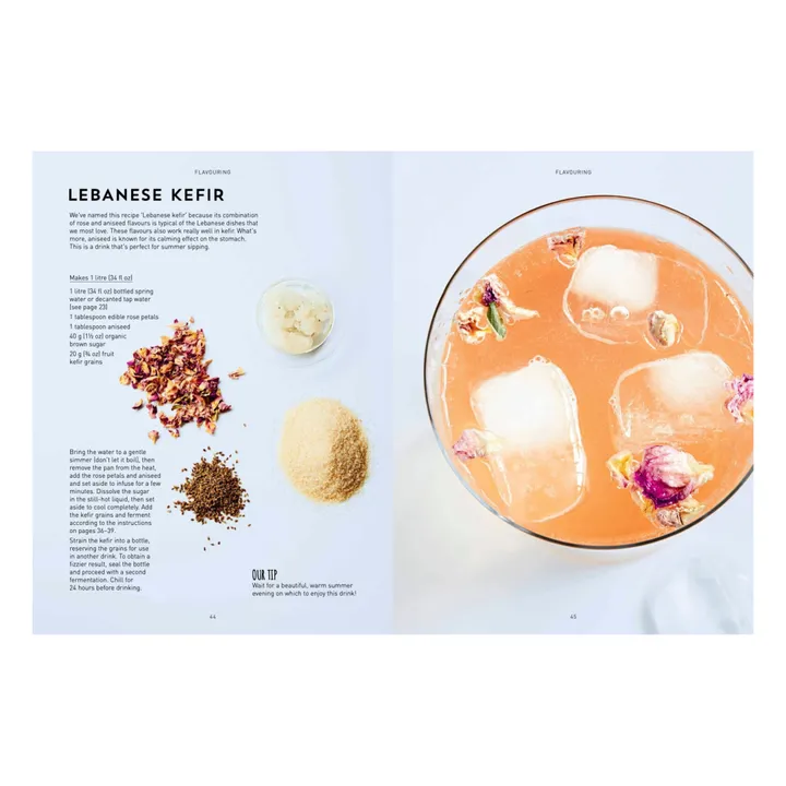 Kombucha, Kefir & Natural Sodas - EN- Image produit n°2