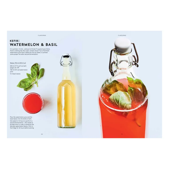 Kombucha, Kefir & Natural Sodas - EN- Image produit n°4