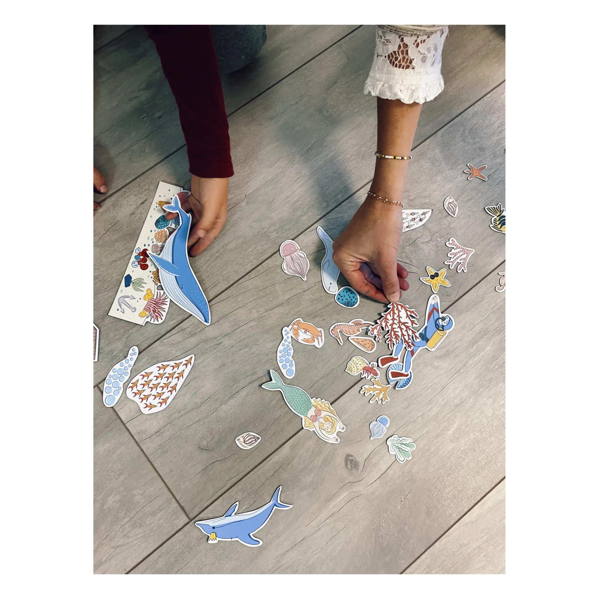 Ferflex - Magnets Océan - Set de 51 (Ferflex) - Image 1