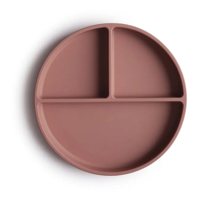 Silicone Plate | Terracotta