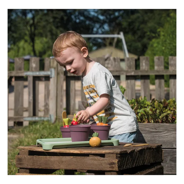 Kit greenhouse en bioplastique