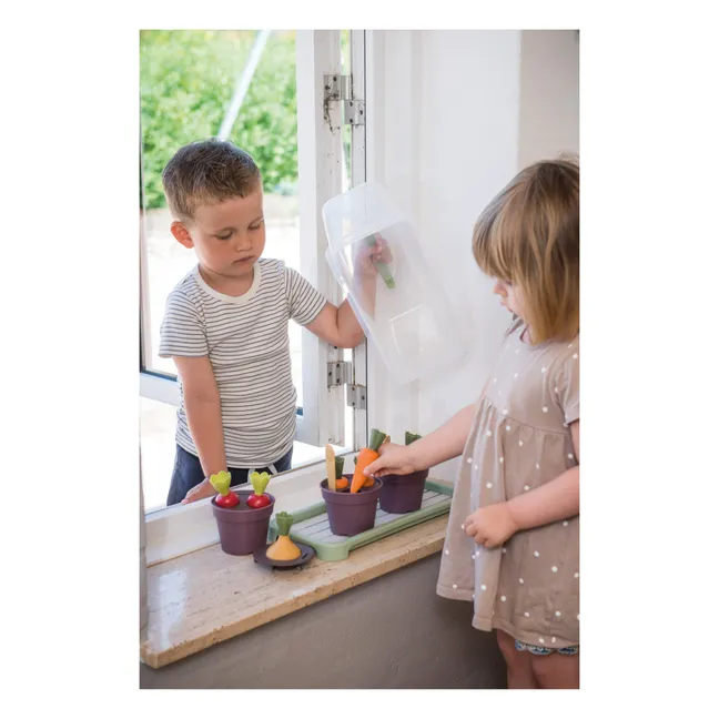 Kit greenhouse en bioplastique