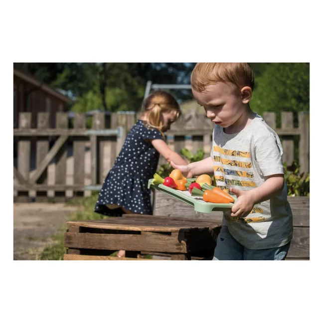 Kit greenhouse en bioplastique